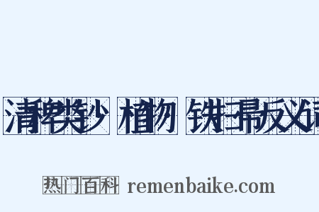 清稗类钞·植物·铁扫帚反义词是什么意思的图片